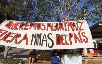Juez federal otorga suspensión definitiva contra todo el distrito minero de Actopan y Alto Lucero, Veracruz