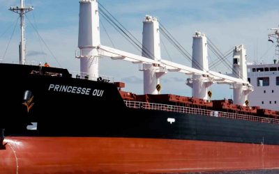 38 MDP en Coca incautados en Veracruz Puerto