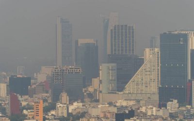 El gobierno federal continúa debilitando el sector ambiental y la protección del medio ambiente en México