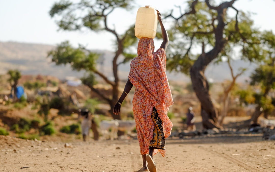 SEXO A CAMBIO DE AGUA: Un oscuro rostro de corrupción en el sector del agua en África