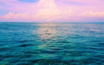 Gente del Mar alertan sobre graves amenazas al Corredor Arrecifal del Golfo de México y a los proyectos de vida de las comunidades pesqueras