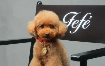 ¡Que ELEGANCIA la de FRAN!… Digo, la de Dolce & Gabbana…